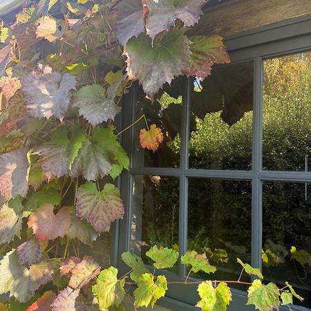 Elm Cottage Barn Oatlands Esterno foto