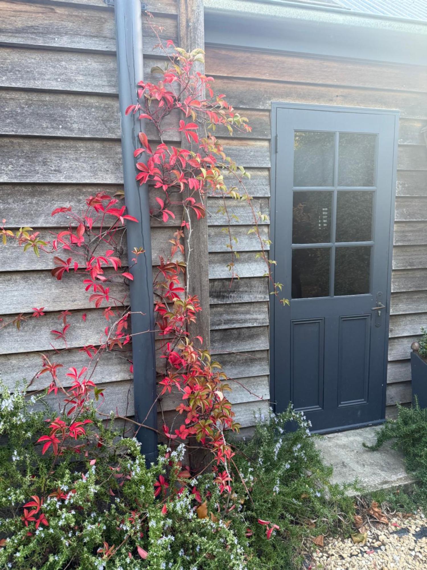 Elm Cottage Barn Oatlands Esterno foto