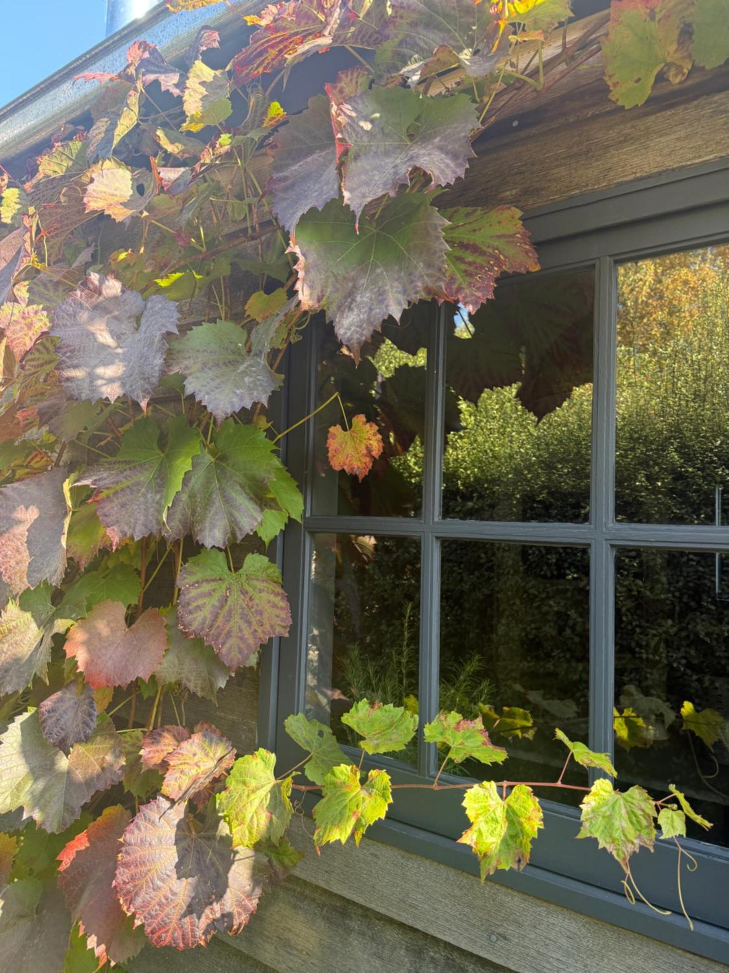 Elm Cottage Barn Oatlands Esterno foto